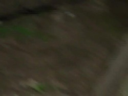 Family preparing dinner on open fire News Clip