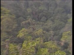 Sarawak: Forests, Brazil - Balbina News Clip