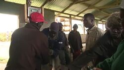 CLEAN : Stockshots of Kenya's economy News Clip