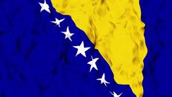 Bosnia and Hercegovina Flag Stock Footage