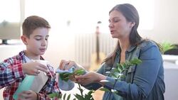 I like to help mom Stock Footage