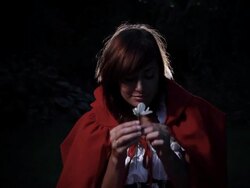 Wolf and Little Red Ridding Hood Stock Footage