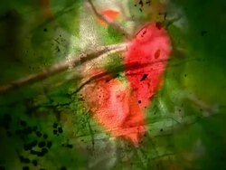 HD 1080i Grit Abstract through cobwebs with branches Stock Footage