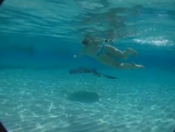 MS, Cayman Islands, Grand Cayman, Stingray City, Woman playing with stingray in sea Stock Footage