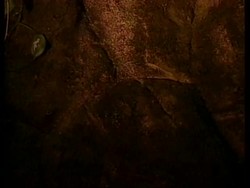 NICARAGUA: REMAINS OF LOST PRE COLUMBIAN CITY FOUND News Clip