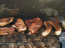 Barbecue Stock Footage