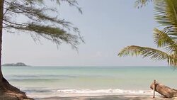The sea in between palms Stock Footage
