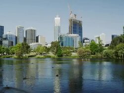 WS View of ducks swimming in pond with Central Business District in background / Perth, Western Australia, Australia Stock Footage