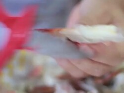 Claw Crab Stock Footage