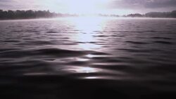 Moonlite Water Stock Footage