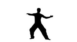 Tai chi Stock Footage