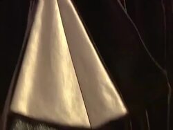 Diana Lovrin at the Ferrero Chocolates and Evan Lysacek Fashion Event at New York NY.  Stock Footage