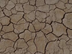  CU Cracks on dried up land / Mojave, California, USA Stock Footage