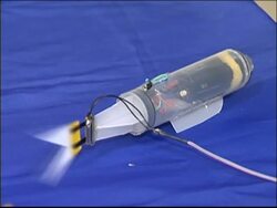 A robo-fish displays artificial muscles News Clip