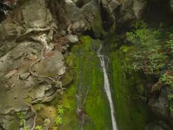 MS TD Shot of Water falls down rocks and moss into water hole / Big Sur, California, United States Stock Footage