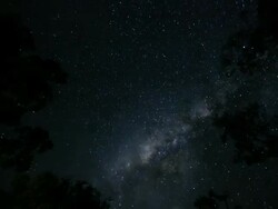 T/L, WS, milky way galaxy, stars and clouds passing over trees / Arnhem Land, Northern Territory, Australia Stock Footage