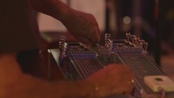 Steel Guitar Stock Footage