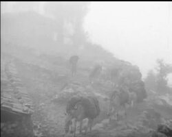 REPORT FROM TIBET News Clip