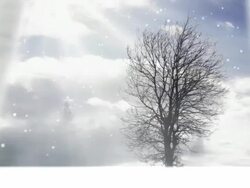 Looking out of the window Stock Footage