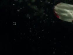 Radish slices falling into water, black background Stock Footage