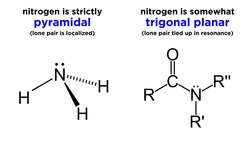 Properties of Amides Instructional Video