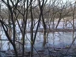 Flood Waters Stock Footage