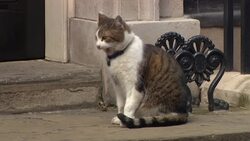 Poroshenko meets May in London after ICJ ruling Instructional Video