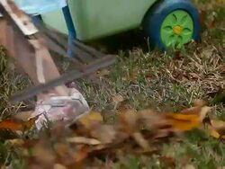 Little Girl Raking Stock Footage