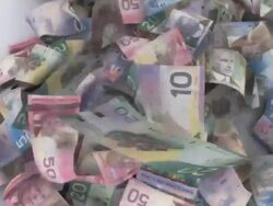 Lots of Falling Canadian Bills Stock Footage