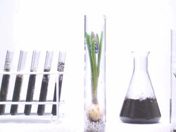 Botany laboratory over white background Stock Footage