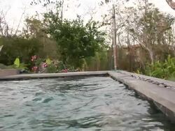 MS Shot of little girl doing handstand in pool, her feet pop up above water / Montezuma, Punteranes, Costa Rica Stock Footage