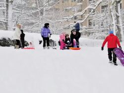 Children sledding in Central Park, Winter Storm Stock Footage