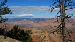 Clouds and tree, Grand Canyon Stock Footage