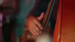Country Bass Stock Footage