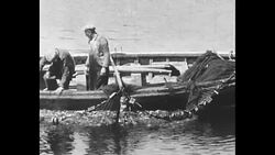 During Canadian explorer Robert Bartlett's Greenland expedition, men catch fish News Clip