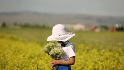 hay fever Stock Footage