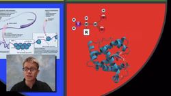 AP Biology Practice 6 - Scientific Explanations and Theories Instructional Video