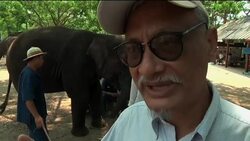 Elephant therapy for autism in Thailand News Clip