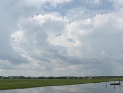 WS T/L View of South Carolina marsh / Georgetown, South Carolina, United States Stock Footage