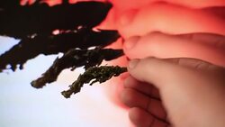 High on drugs - Cannabis marijuana in hand Stock Footage