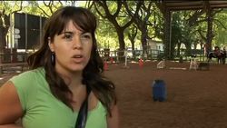 Horses help in children's therapy News Clip