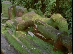 MS Hindu statue in jungle, Bandhavgarh National Park, India Stock Footage