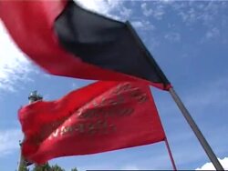 Anti-globalisation protesters face off police News Clip