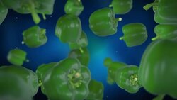 Green Pepper Stock Footage