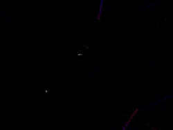 Butterfly Extravaganza graphic with alpha matte Stock Footage