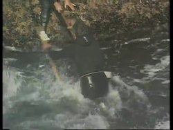 RR0247/B  Spain: Barnacles News Clip