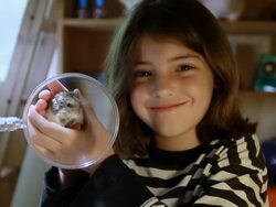 MS Cute girl proudly shows off her very active pet hamster in front of magnifying glass / Los Angeles, California, United state Stock Footage