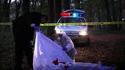 Crime scene investigation Stock Footage