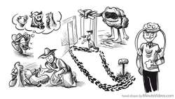 How to Change Bad Habits Instructional Video