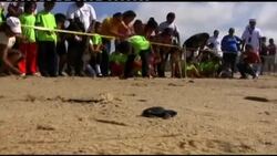 Mexican Navy and NGOs release 4000 turtles Instructional Video